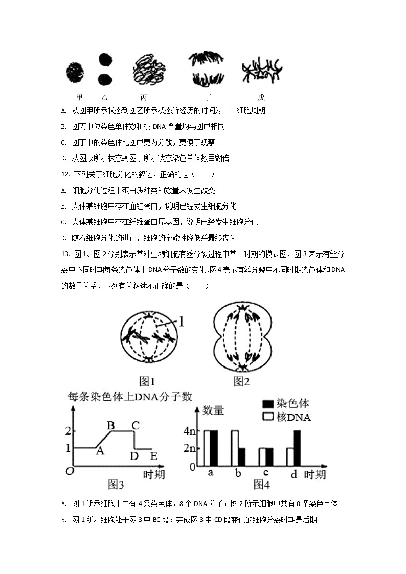 2021-2022学年四川省内江市第六中学高一下学期第一次月考生物试卷含答案03
