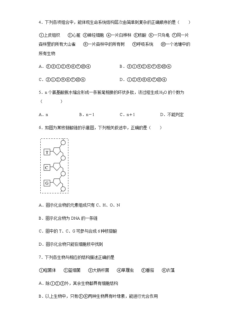 2021-2022学年河北省保定市唐县一中高一10月考试生物试题含解析02