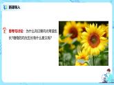 第一节《植物生长素》课件+教案