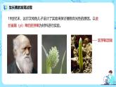 第一节《植物生长素》课件+教案