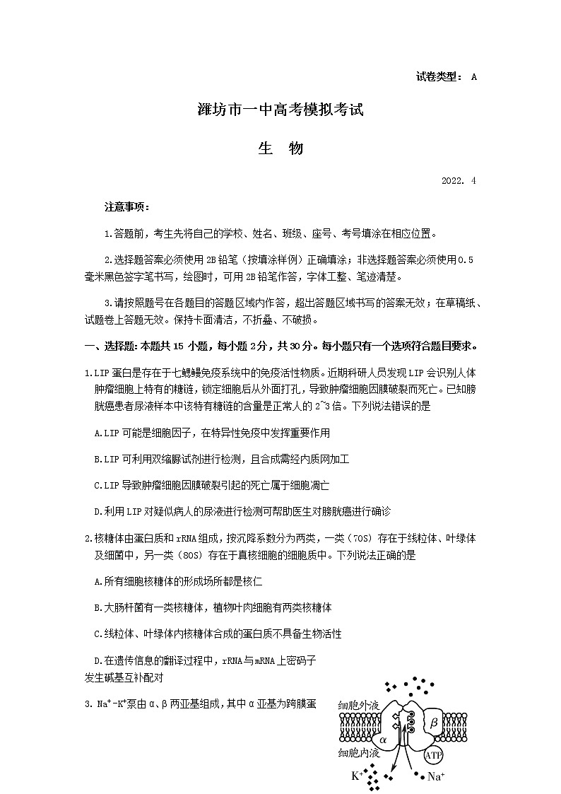 2022届山东省潍坊一中高三下学期二模统考（4月）生物试题含答案01