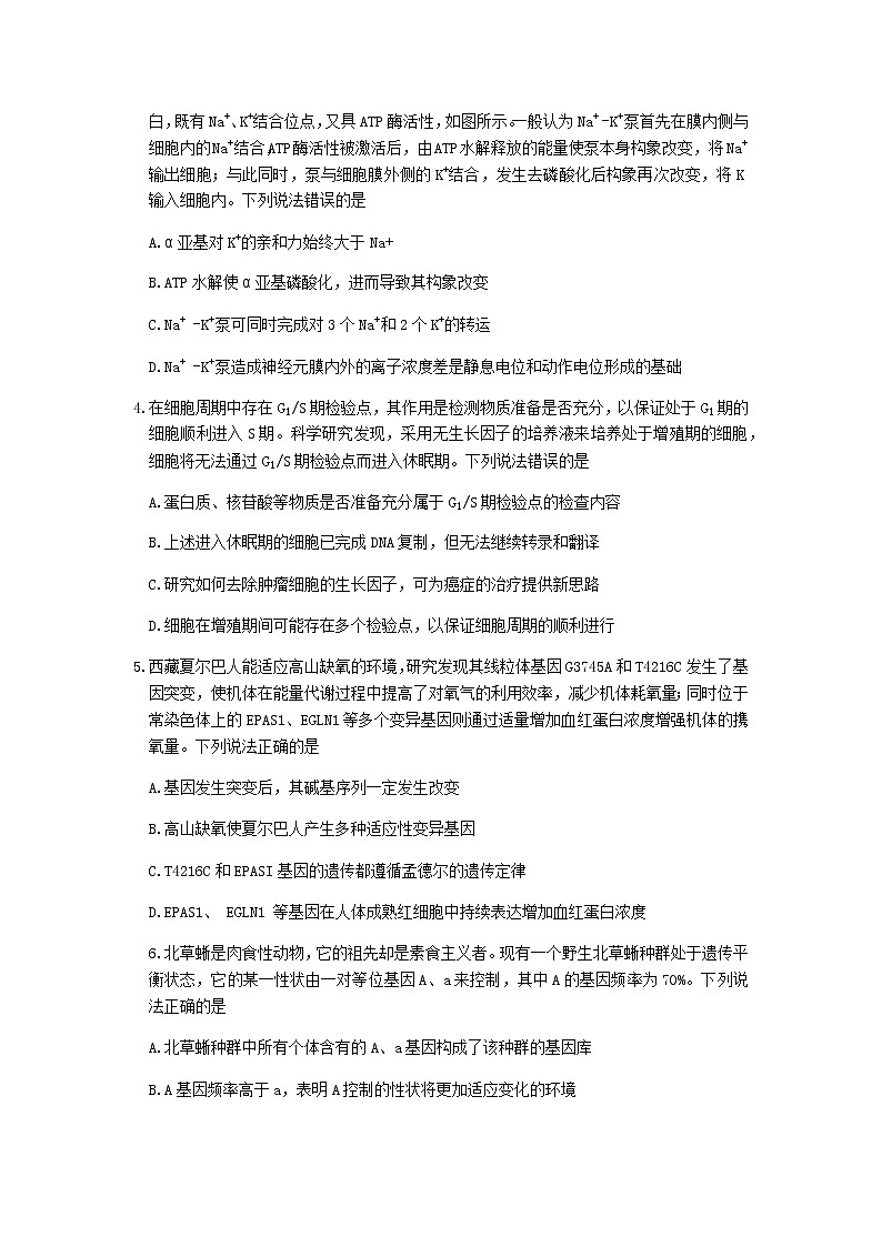 2022届山东省潍坊一中高三下学期二模统考（4月）生物试题含答案02