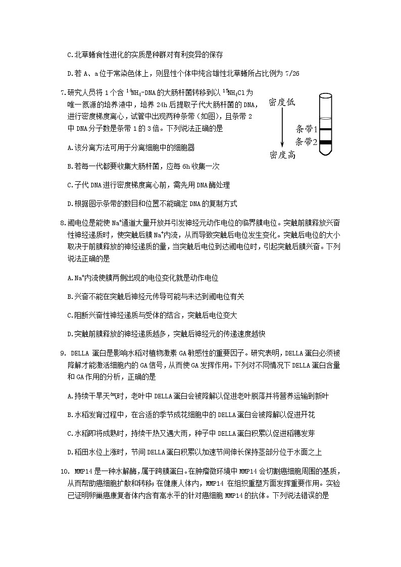 2022届山东省潍坊一中高三下学期二模统考（4月）生物试题含答案03