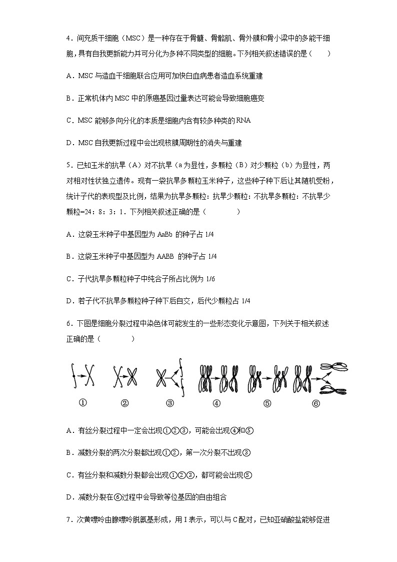 2022届河北省沧州市沧县中学高三5月猜题信息卷（二）生物试题含解析03