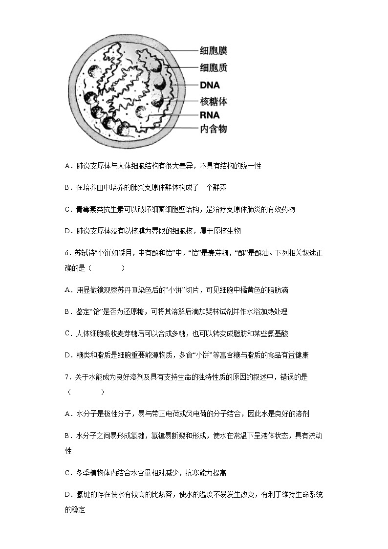 2021-2022学年河北省保定市雄县四校高一上学期阶段性考试生物试题含解析第3页