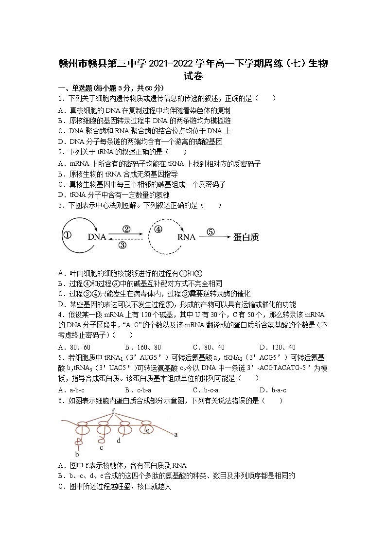 2021-2022学年江西省赣州市赣县第三中学高一下学期周练（七）生物试卷含答案01