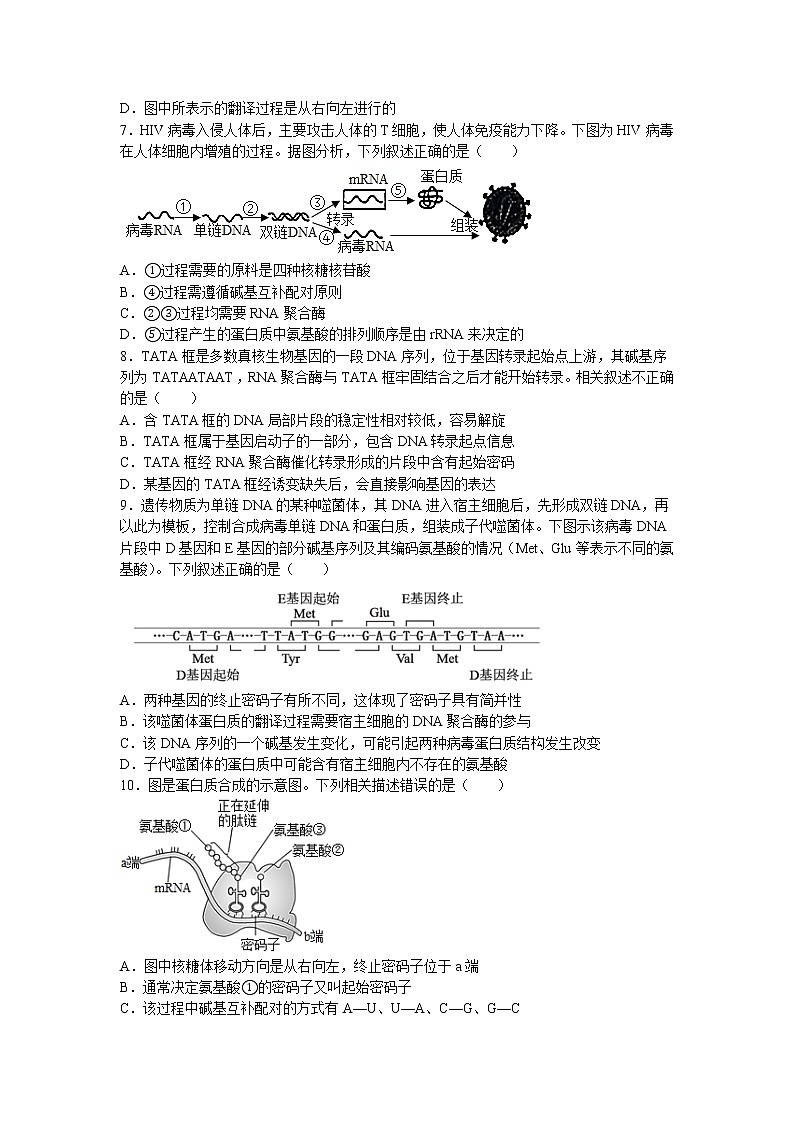 2021-2022学年江西省赣州市赣县第三中学高一下学期周练（七）生物试卷含答案02