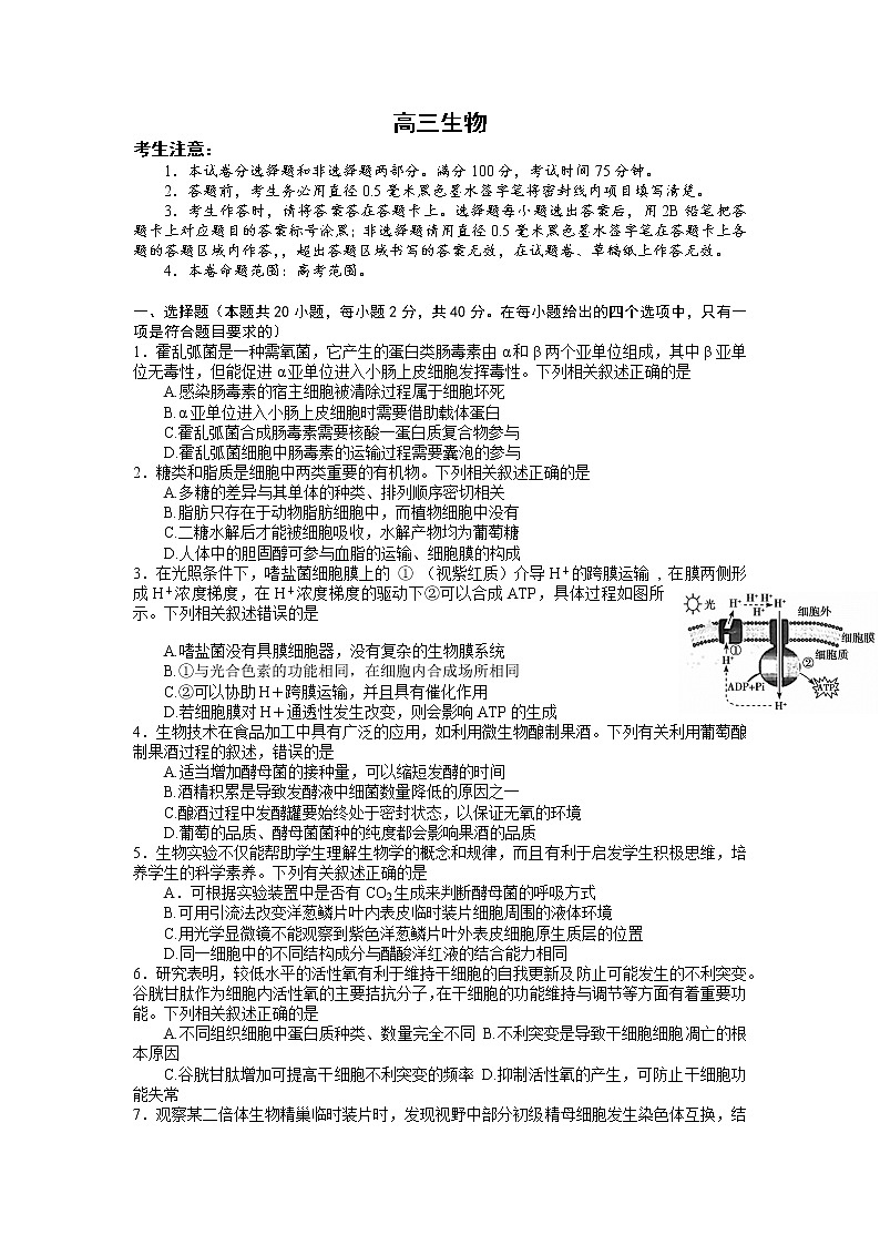2023湖北省联盟高三摸底联考（新高考）生物含答案、答题卡01