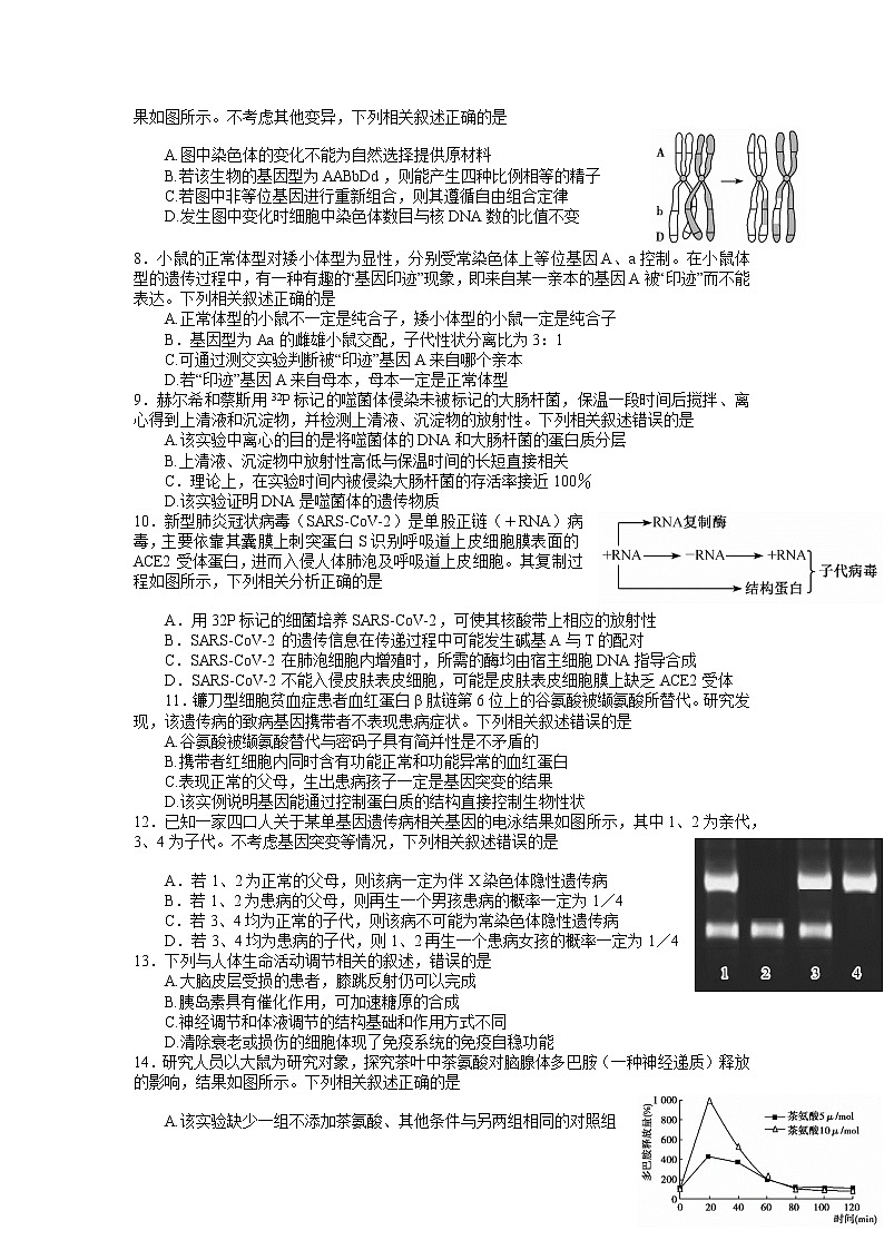 2023湖北省联盟高三摸底联考（新高考）生物含答案、答题卡02