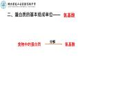 2.4蛋白质是生命活动的主要承担者课件2021-2022学年高一上学期生物人教版必修1