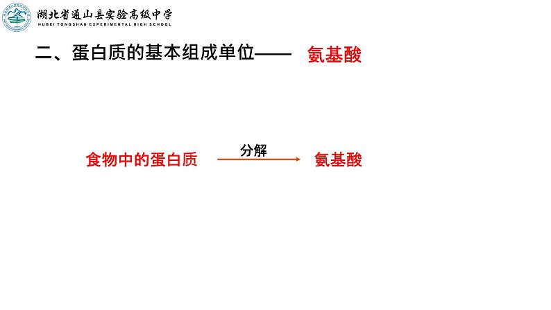 2.4蛋白质是生命活动的主要承担者课件2021-2022学年高一上学期生物人教版必修1第3页