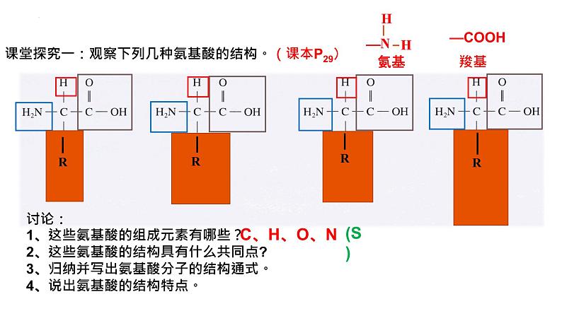 2.4蛋白质是生命活动的主要承担者课件2021-2022学年高一上学期生物人教版必修1第4页