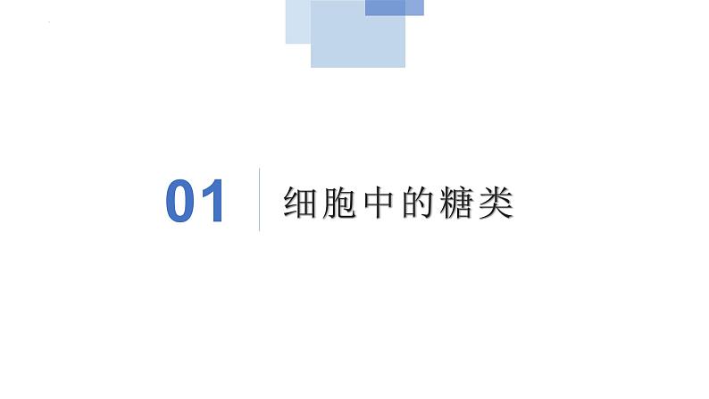 2.3细胞中的糖类和脂质课件2021-2022学年高一上学期生物人教版必修1第5页