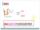 3.1DNA是主要的遗传物质课件2021-2022学年高一下学期生物人教版必修2