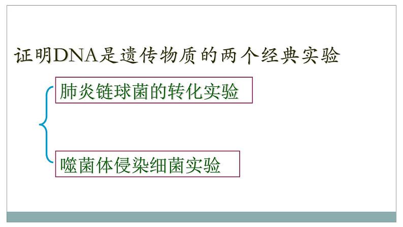 3.1DNA是主要的遗传物质课件2021-2022学年高一下学期生物人教版必修2第5页