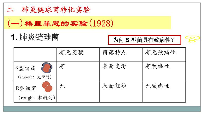 3.1DNA是主要的遗传物质课件2021-2022学年高一下学期生物人教版必修2第8页