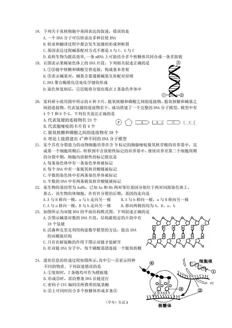 2022宁波效实中学高一下学期期中考试生物（学考）PDF版含答案（可编辑）03