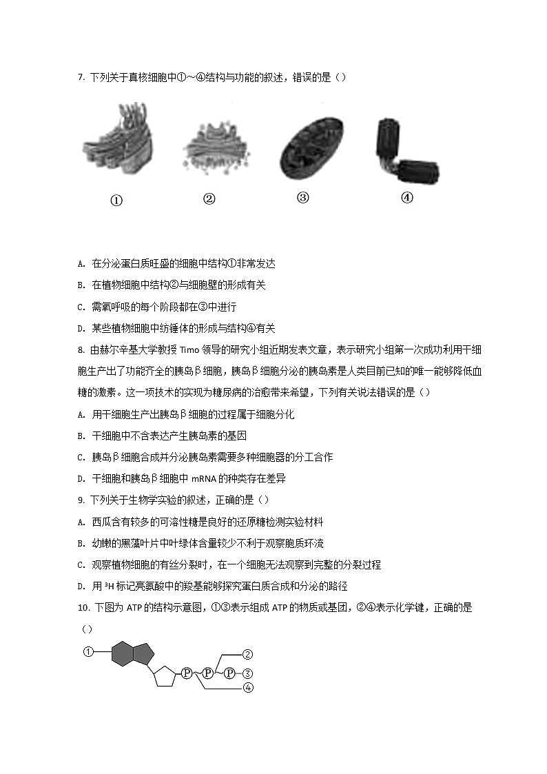 2022温州新力量联盟高一下学期期中联考生物试题含答案02