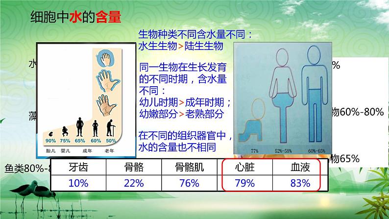 2.2细胞中的无机物课件（1）03