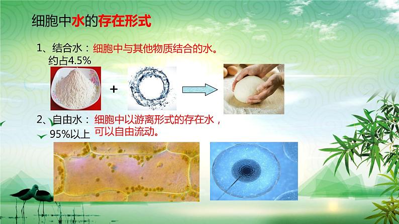 2.2细胞中的无机物课件（1）04