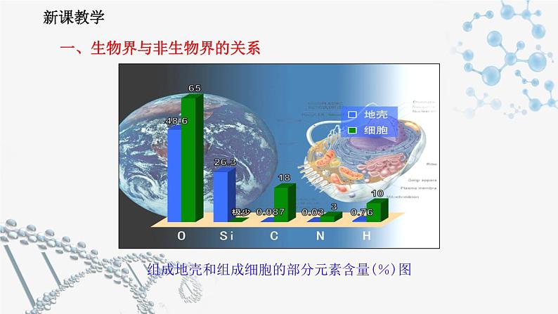 2.1细胞中的元素和化合物课件第4页