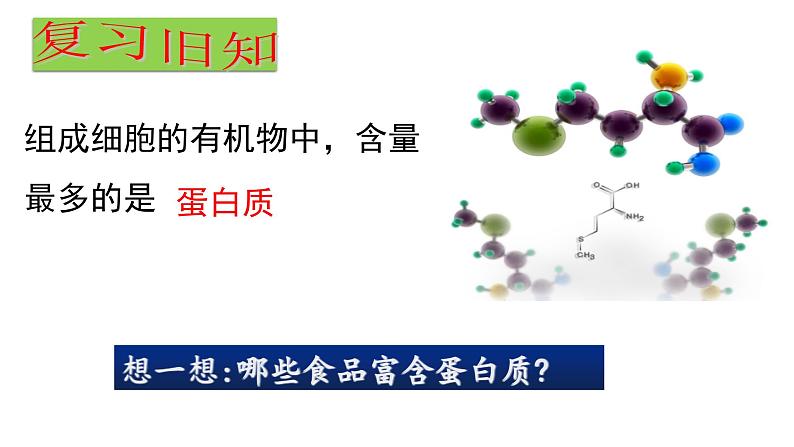 人教版2019高中生物必修1《2.4 蛋白质是生命活动的主要承担者》课件第1页