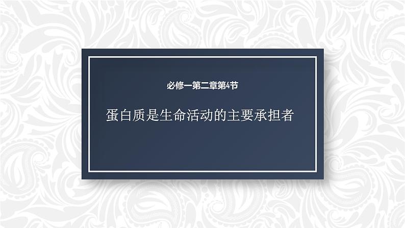 人教版2019高中生物必修1《2.4 蛋白质是生命活动的主要承担者》课件第4页