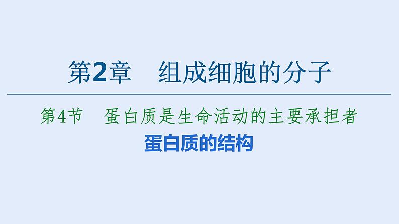 人教版2019高中生物必修1《2.4蛋白质是生命活动的主要承担者》课件03