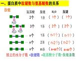 人教版2019高中生物必修1《2.4 蛋白质计算微专题》课件