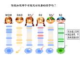 人教版2019高中生物必修1《2.5 核酸是遗传信息的携带者》课件