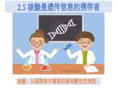 人教版2019高中生物必修1《2.5 核酸是遗传信息的携带者》课件