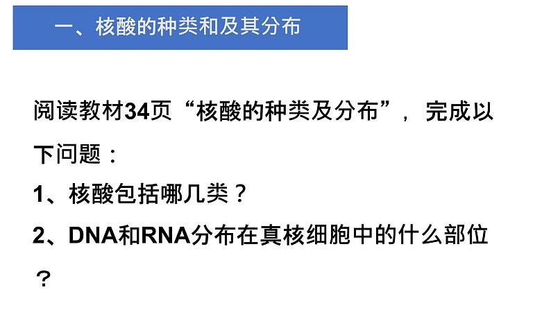 人教版2019高中生物必修1《2.5 核酸是遗传信息的携带者》课件05