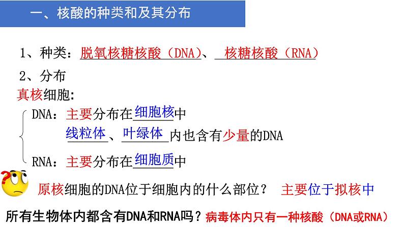 人教版2019高中生物必修1《2.5 核酸是遗传信息的携带者》课件06