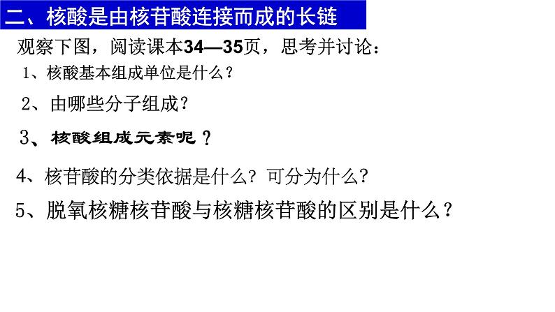 人教版2019高中生物必修1《2.5 核酸是遗传信息的携带者》课件07