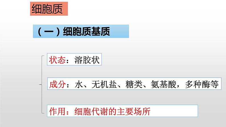 人教版2019高中生物必修1《3.2 细胞器之间的分工合作（第1课时）》课件05
