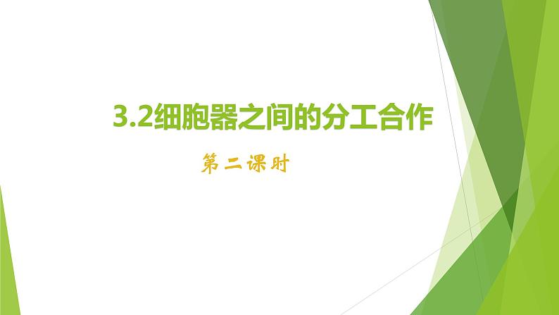 人教版2019高中生物必修1《3.2 细胞器之间的分工合作 （第2课时）》课件第1页