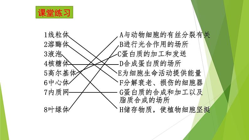 人教版2019高中生物必修1《3.2 细胞器之间的分工合作 （第2课时）》课件第3页