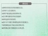 新人教版高中生物选择性必修3第一章发酵工程第2节第1课时微生物的基本培养技术课件