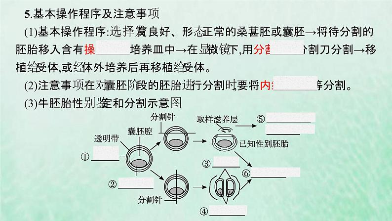 新人教版高中生物选择性必修3第二章细胞工程第3节第2课时胚胎工程技术及其应用课件07