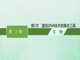 新人教版高中生物选择性必修3第三章基因工程第1节重组DNA技术的基本工具课件