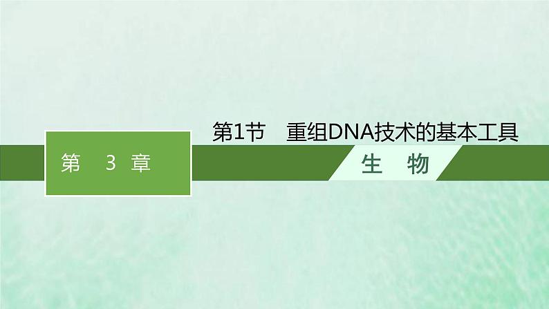 新人教版高中生物选择性必修3第三章基因工程第1节重组DNA技术的基本工具课件01