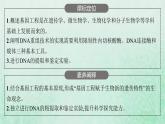 新人教版高中生物选择性必修3第三章基因工程第1节重组DNA技术的基本工具课件