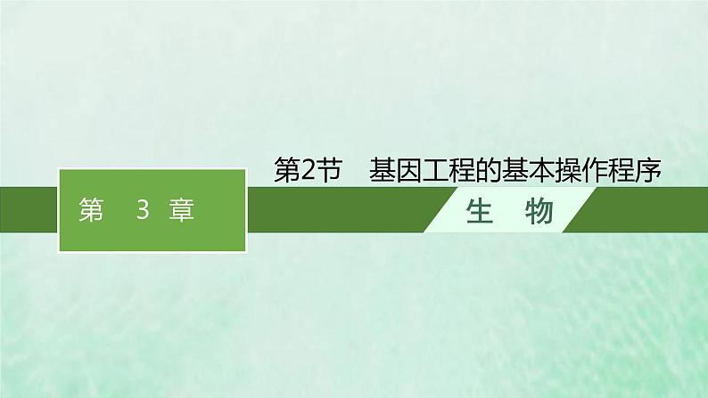 新人教版高中生物选择性必修3第三章基因工程第2节基因工程的基本操作程序课件01