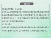 新人教版高中生物选择性必修2第三章生态系统及其稳定性第2节生态系统的能量流动课件