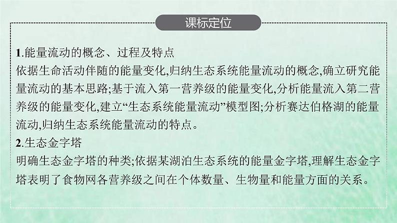 新人教版高中生物选择性必修2第三章生态系统及其稳定性第2节生态系统的能量流动课件第3页