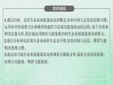 新人教版高中生物选择性必修2第三章生态系统及其稳定性第2节生态系统的能量流动课件