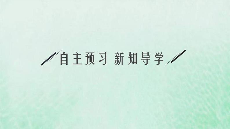 新人教版高中生物选择性必修2第三章生态系统及其稳定性第2节生态系统的能量流动课件第6页