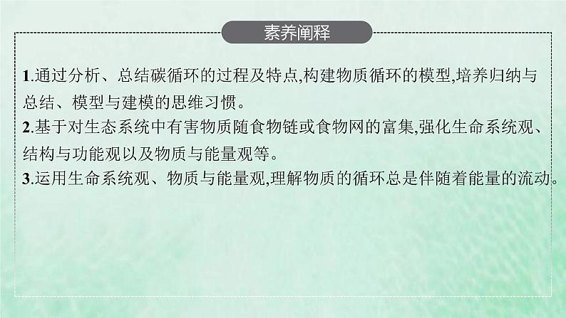 新人教版高中生物选择性必修2第三章生态系统及其稳定性第3节生态系统的物质循环课件04