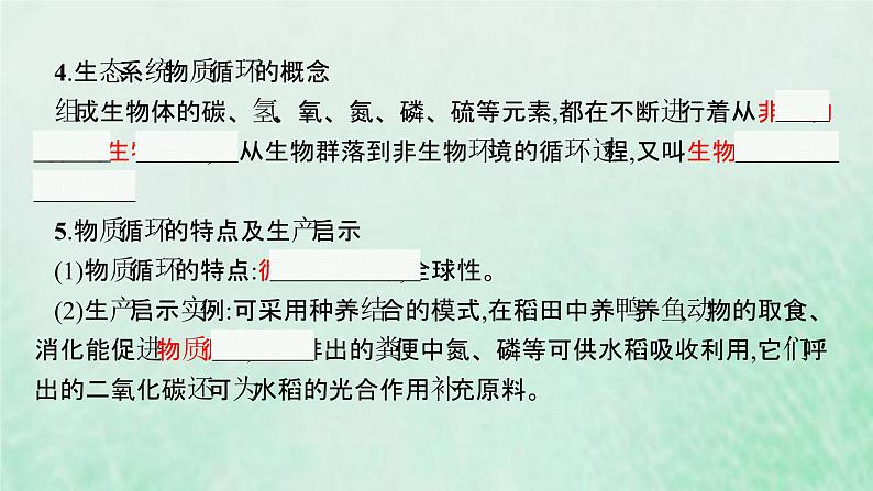 新人教版高中生物选择性必修2第三章生态系统及其稳定性第3节生态系统的物质循环课件08