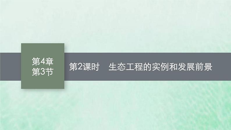 新人教版高中生物选择性必修2第四章人与环境第1节第2课时生态工程的实例和发展前景课件第1页